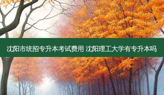 沈阳市统招专升本考试费用 沈阳理工大学有专升本吗-第1张图片-天智网 沈阳市统招专升本考试费用 沈阳理工大学有专升本吗-第1张图片-天智网