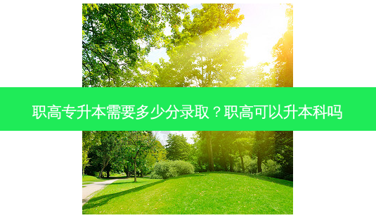 职高专升本需要多少分录取?职高可以升本科吗-第1张图片-天智网 职高专升本需要多少分录取?职高可以升本科吗-第1张图片-天智网