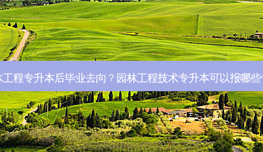 园林工程专升本后毕业去向?园林工程技术专升本可以报哪些专业-第1张图片-天智网 园林工程专升本后毕业去向?园林工程技术专升本可以报哪些专业-第1张图片-天智网