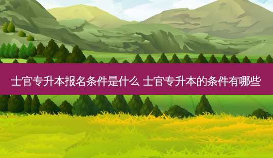 士官专升本报名条件是什么 士官专升本的条件有哪些-第1张图片-天智网 士官专升本报名条件是什么 士官专升本的条件有哪些-第1张图片-天智网