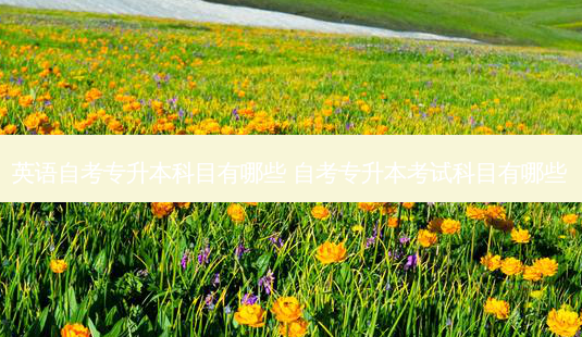 英语自考专升本科目有哪些 自考专升本考试科目有哪些-第1张图片-天智网 英语自考专升本科目有哪些 自考专升本考试科目有哪些-第1张图片-天智网