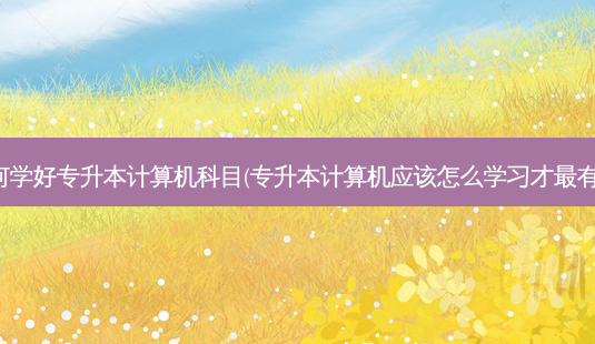 如何学好专升本计算机科目(专升本计算机应该怎么学习才 *** 有效)-第1张图片-天智网 如何学好专升本计算机科目(专升本计算机应该怎么学习才 *** 有效)-第1张图片-天智网