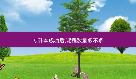 专升本成功后,课程数量多不多-第1张图片-天智网 专升本成功后,课程数量多不多-第1张图片-天智网