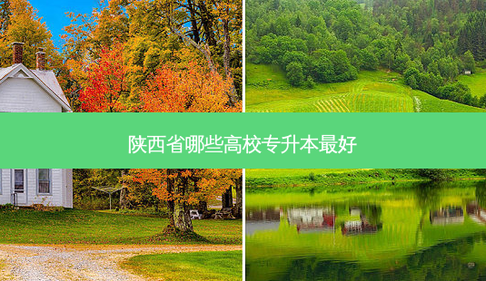 陕西省哪些高校专升本 *** 好-第1张图片-天智网 陕西省哪些高校专升本 *** 好-第1张图片-天智网