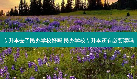 专升本去了民办学校好吗 民办学校专升本还有必要读吗-第1张图片-天智网 专升本去了民办学校好吗 民办学校专升本还有必要读吗-第1张图片-天智网