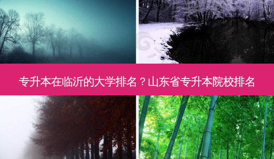 专升本在临沂的大学排名?山东省专升本院校排名-第1张图片-天智网 专升本在临沂的大学排名?山东省专升本院校排名-第1张图片-天智网
