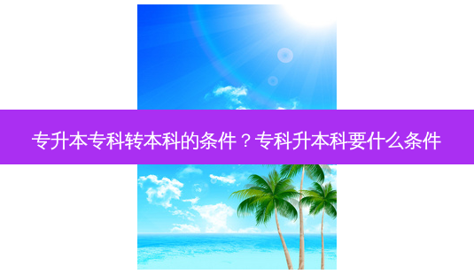 专升本专科转本科的条件?专科升本科要什么条件-第1张图片-天智网 专升本专科转本科的条件?专科升本科要什么条件-第1张图片-天智网