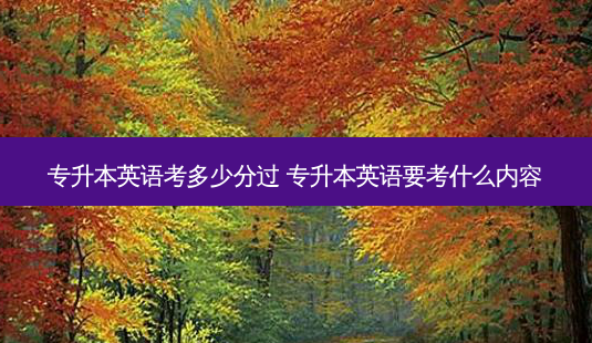 专升本英语考多少分过 专升本英语要考什么内容-第1张图片-天智网 专升本英语考多少分过 专升本英语要考什么内容-第1张图片-天智网