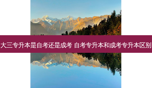 大三专升本是自考还是成考 自考专升本和成考专升本区别-第1张图片-天智网 大三专升本是自考还是成考 自考专升本和成考专升本区别-第1张图片-天智网