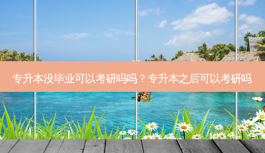 专升本没毕业可以考研吗吗?专升本之后可以考研吗-第1张图片-天智网 专升本没毕业可以考研吗吗?专升本之后可以考研吗-第1张图片-天智网