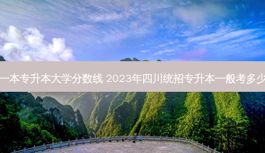 四川一本专升本大学分数线 2023年四川统招专升本一般考多少分过-第1张图片-天智网 四川一本专升本大学分数线 2023年四川统招专升本一般考多少分过-第1张图片-天智网
