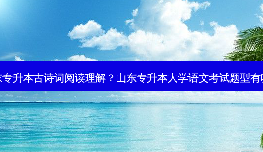 山东专升本古诗词阅读理解?山东专升本大学语文考试题型有哪些-第1张图片-天智网 山东专升本古诗词阅读理解?山东专升本大学语文考试题型有哪些-第1张图片-天智网