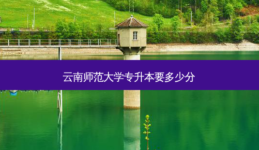 云南师范大学专升本要多少分-第1张图片-天智网 云南师范大学专升本要多少分-第1张图片-天智网