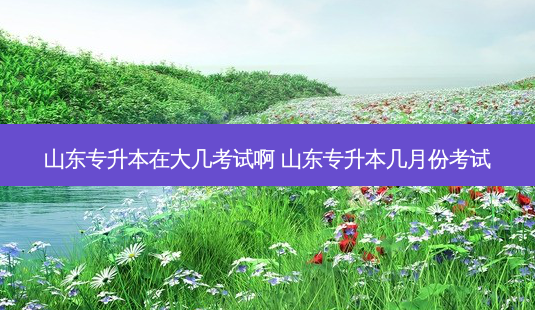 山东专升本在大几考试啊 山东专升本几月份考试-第1张图片-天智网 山东专升本在大几考试啊 山东专升本几月份考试-第1张图片-天智网