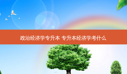 政治经济学专升本 专升本经济学考什么-第1张图片-天智网 政治经济学专升本 专升本经济学考什么-第1张图片-天智网