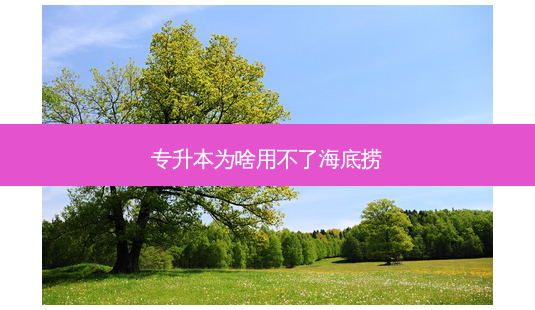 专升本为啥用不了海底捞-第1张图片-天智网 专升本为啥用不了海底捞-第1张图片-天智网