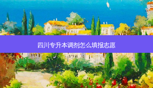 四川专升本调剂怎么填报志愿-第1张图片-天智网 四川专升本调剂怎么填报志愿-第1张图片-天智网
