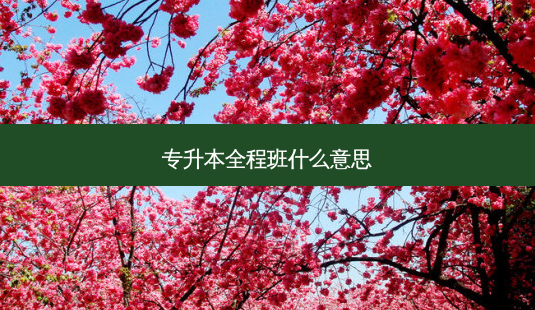 专升本全程班什么意思-第1张图片-天智网 专升本全程班什么意思-第1张图片-天智网