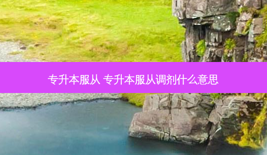 专升本服从 专升本服从调剂什么意思-第1张图片-天智网 专升本服从 专升本服从调剂什么意思-第1张图片-天智网