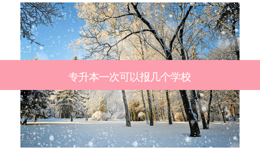 专升本一次可以报几个学校-第1张图片-天智网 专升本一次可以报几个学校-第1张图片-天智网
