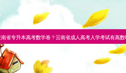 云南省专升本高考数学卷?云南省成人高考入学考试有高数吗-第1张图片-天智网 云南省专升本高考数学卷?云南省成人高考入学考试有高数吗-第1张图片-天智网