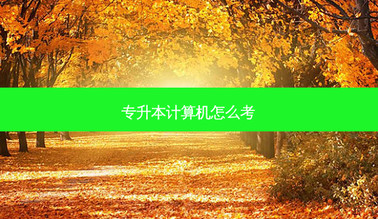 专升本计算机怎么考-第1张图片-天智网 专升本计算机怎么考-第1张图片-天智网