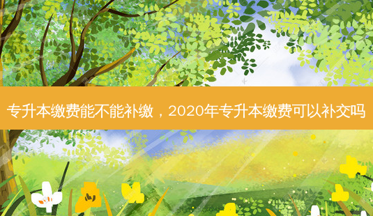 专升本缴费能不能补缴，2020年专升本缴费可以补交吗-第1张图片-汇成专升本网