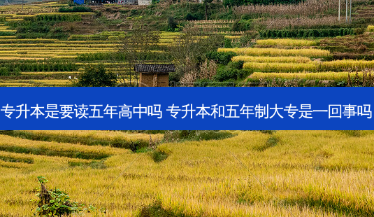 专升本是要读五年高中吗 专升本和五年制大专是一回事吗-第1张图片-天智网 专升本是要读五年高中吗 专升本和五年制大专是一回事吗-第1张图片-天智网