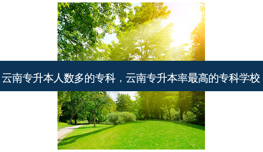 云南专升本人数多的专科,云南专升本率 *** 高的专科学校-第1张图片-天智网 云南专升本人数多的专科,云南专升本率 *** 高的专科学校-第1张图片-天智网