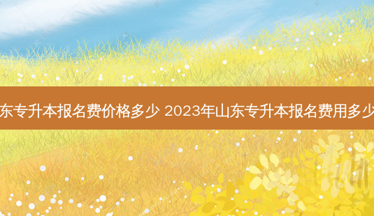 山东专升本报名费价格多少 2023年山东专升本报名费用多少钱-第1张图片-汇成专升本网