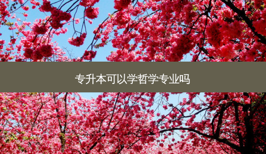 专升本可以学哲学专业吗-第1张图片-天智网 专升本可以学哲学专业吗-第1张图片-天智网