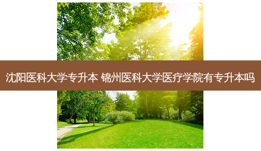 沈阳医科大学专升本 锦州医科大学医疗学院有专升本吗-第1张图片-天智网 沈阳医科大学专升本 锦州医科大学医疗学院有专升本吗-第1张图片-天智网