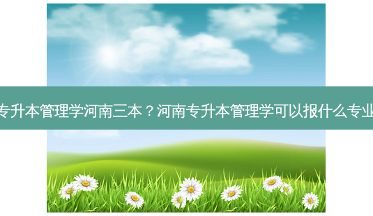 专升本管理学河南三本?河南专升本管理学可以报什么专业-第1张图片-天智网 专升本管理学河南三本?河南专升本管理学可以报什么专业-第1张图片-天智网