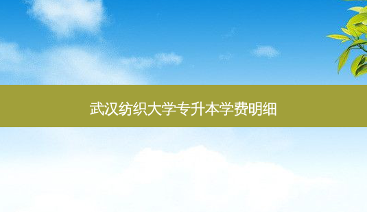 武汉纺织大学专升本学费明细-第1张图片-汇成专升本网