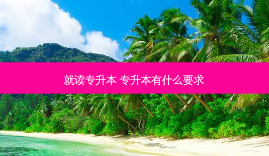 就读专升本 专升本有什么要求-第1张图片-天智网 就读专升本 专升本有什么要求-第1张图片-天智网