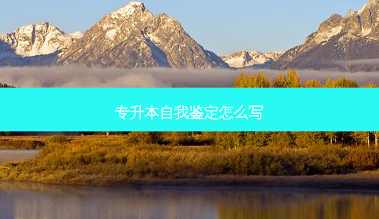 专升本自我鉴定怎么写-第1张图片-天智网 专升本自我鉴定怎么写-第1张图片-天智网