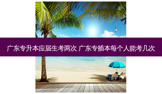 广东专升本应届生考两次 广东专插本每个人能考几次-第1张图片-天智网 广东专升本应届生考两次 广东专插本每个人能考几次-第1张图片-天智网