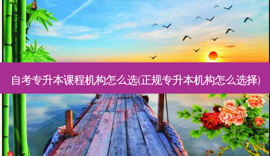 自考专升本课程机构怎么选(正规专升本机构怎么选择)-第1张图片-天智网 自考专升本课程机构怎么选(正规专升本机构怎么选择)-第1张图片-天智网