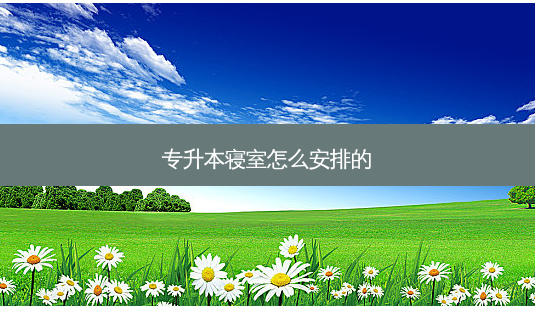 专升本寝室怎么安排的-第1张图片-天智网 专升本寝室怎么安排的-第1张图片-天智网