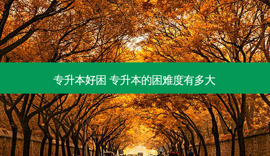 专升本好困 专升本的困难度有多大-第1张图片-天智网 专升本好困 专升本的困难度有多大-第1张图片-天智网