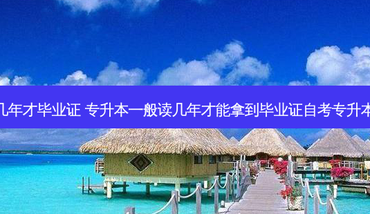 专升本要几年才毕业证 专升本一般读几年才能拿到毕业证自考专升本几年拿证-第1张图片-天智网 专升本要几年才毕业证 专升本一般读几年才能拿到毕业证自考专升本几年拿证-第1张图片-天智网