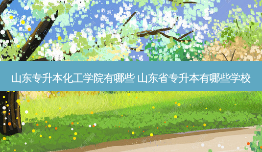 山东专升本化工学院有哪些 山东省专升本有哪些学校-第1张图片-天智网 山东专升本化工学院有哪些 山东省专升本有哪些学校-第1张图片-天智网