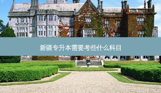 新疆专升本需要考些什么科目-第1张图片-天智网 新疆专升本需要考些什么科目-第1张图片-天智网