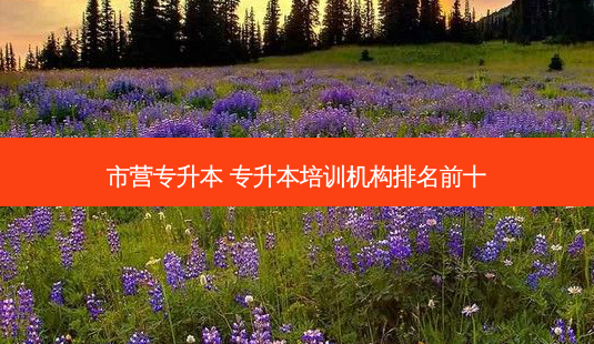 市营专升本 专升本培训机构排名前十-第1张图片-天智网 市营专升本 专升本培训机构排名前十-第1张图片-天智网