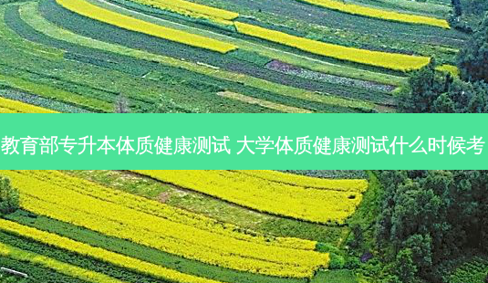 教育部专升本体质健康测试 大学体质健康测试什么时候考-第1张图片-天智网 教育部专升本体质健康测试 大学体质健康测试什么时候考-第1张图片-天智网
