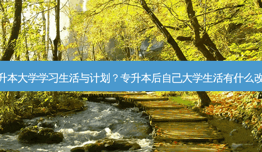 专升本大学学习生活与计划?专升本后自己大学生活有什么改变-第1张图片-天智网 专升本大学学习生活与计划?专升本后自己大学生活有什么改变-第1张图片-天智网