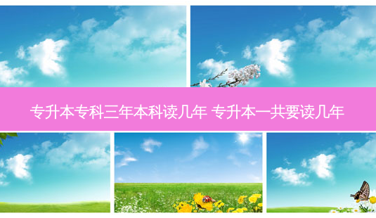 专升本专科三年本科读几年 专升本一共要读几年-第1张图片-天智网 专升本专科三年本科读几年 专升本一共要读几年-第1张图片-天智网