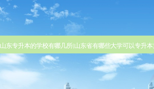 山东专升本的学校有哪几所(山东省有哪些大学可以专升本)-第1张图片-天智网 山东专升本的学校有哪几所(山东省有哪些大学可以专升本)-第1张图片-天智网
