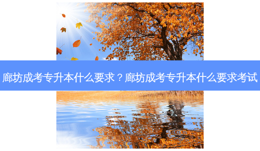 廊坊成考专升本什么要求?廊坊成考专升本什么要求考试-第1张图片-天智网 廊坊成考专升本什么要求?廊坊成考专升本什么要求考试-第1张图片-天智网
