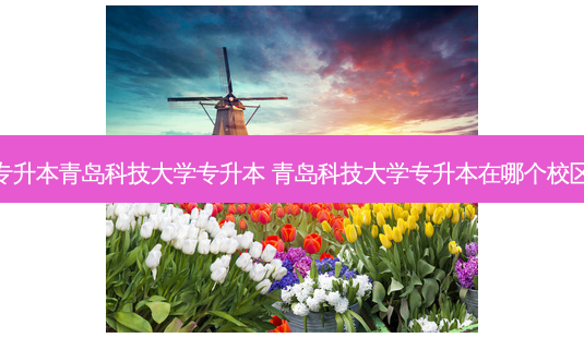 专升本青岛科技大学专升本 青岛科技大学专升本在哪个校区-第1张图片-天智网 专升本青岛科技大学专升本 青岛科技大学专升本在哪个校区-第1张图片-天智网